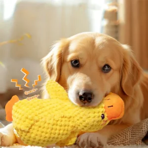 Pet plush voice duck toy